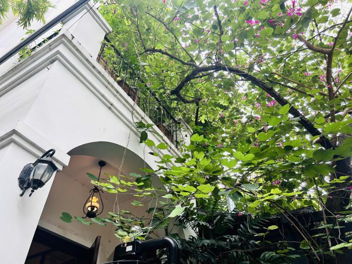 Cho thuê nhà mặt tiền đường Thái Ly P. Thảo Điền Quận 2