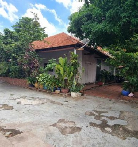 Cho thuê biệt thự mặt tiền đường Đặng Hữu Phổ P. Thảo Điền Quận 2